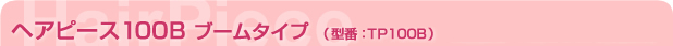 wAs[X100Bu[^Cv@^TP100B